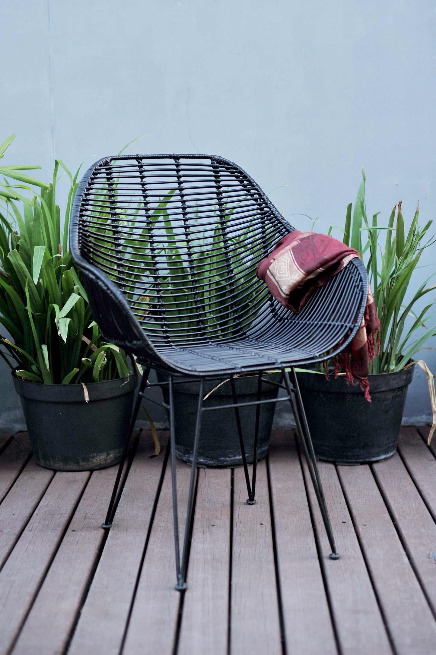 VIGGO Rattan Dining Chair with Metal Legs | Black