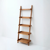 Cecilia Leaning Ladder Shelves