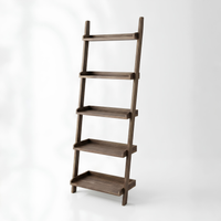 Cecilia Leaning Ladder Shelves