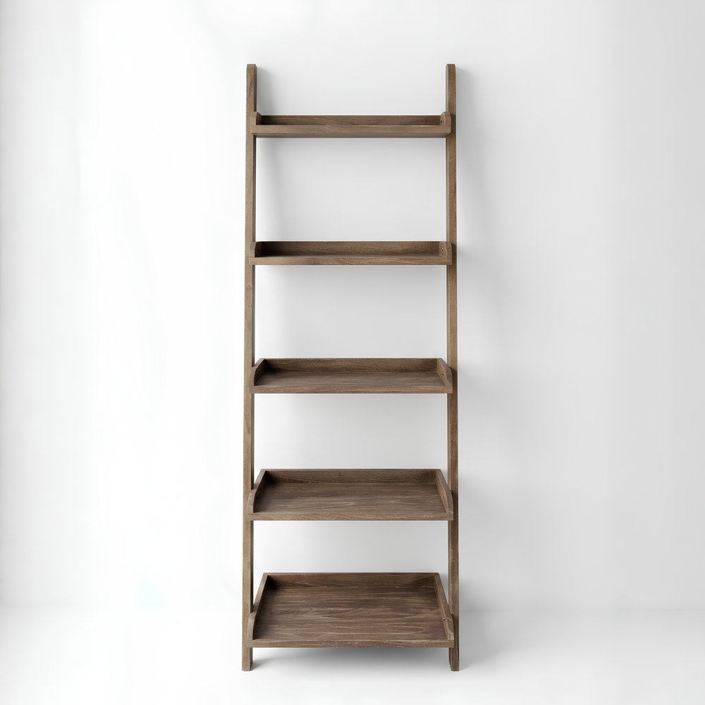 Cecilia Leaning Ladder Shelves