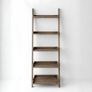 Cecilia Leaning Ladder Shelves