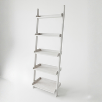 Cecilia Leaning Ladder Shelves