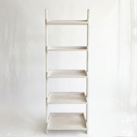 Cecilia Leaning Ladder Shelves