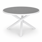 Pisa Round Table