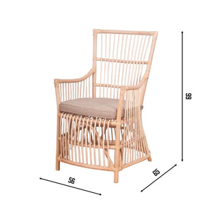 Anita Rattan Armchair with Cushion