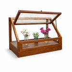 Basil Greenhouse