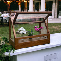 Basil Greenhouse