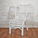 AUDREY Rattan Dinning Chair | White