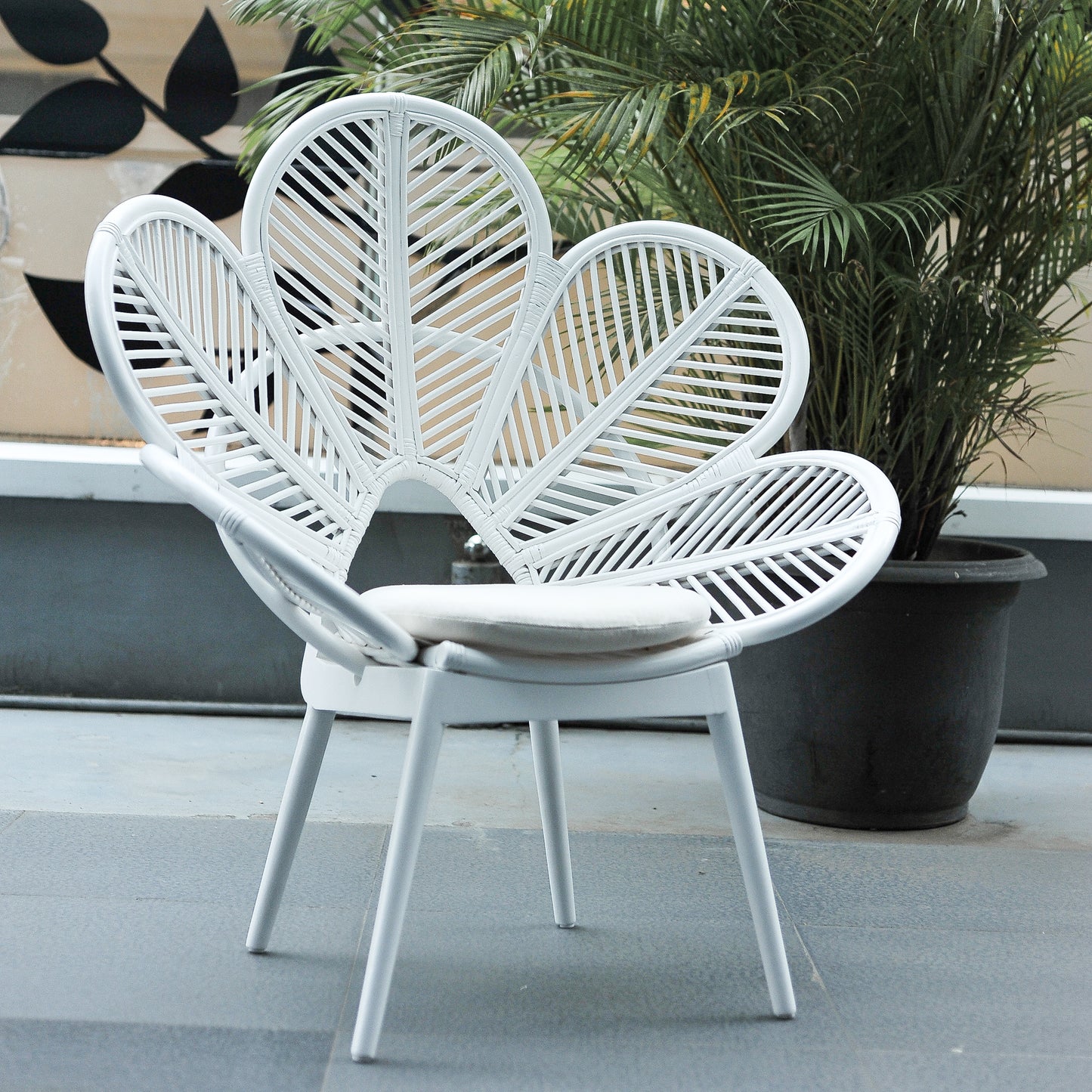 rattan petal chair white